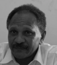 عادل محمد الحسن حربي