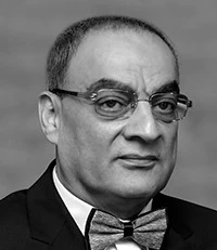 محمد عمرو صادق