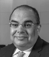 محمود محيي الدين