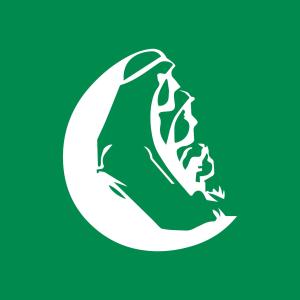 مستشفى المواساة